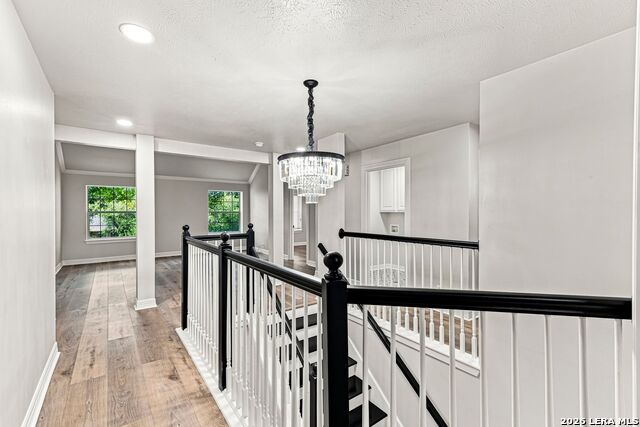 22 Benchwood Cir Property Photo 24