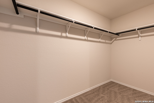 13804 Siltstone Loop Property Photo 24