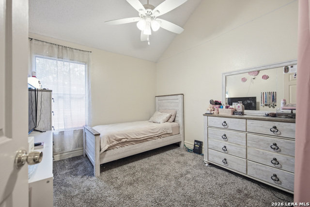 3210 Morning Trl Property Photo 21
