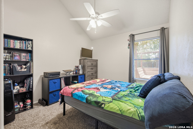 3210 Morning Trl Property Photo 22