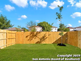9919 Grove Mist Property Photo 3