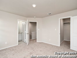 9919 Grove Mist Property Photo 12