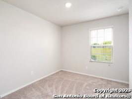 9919 Grove Mist Property Photo 14