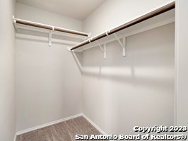 9919 Grove Mist Property Photo 17