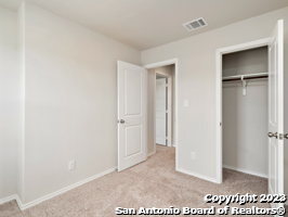 9919 Grove Mist Property Photo 13
