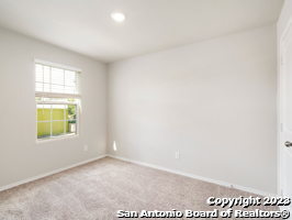 9919 Grove Mist Property Photo 16