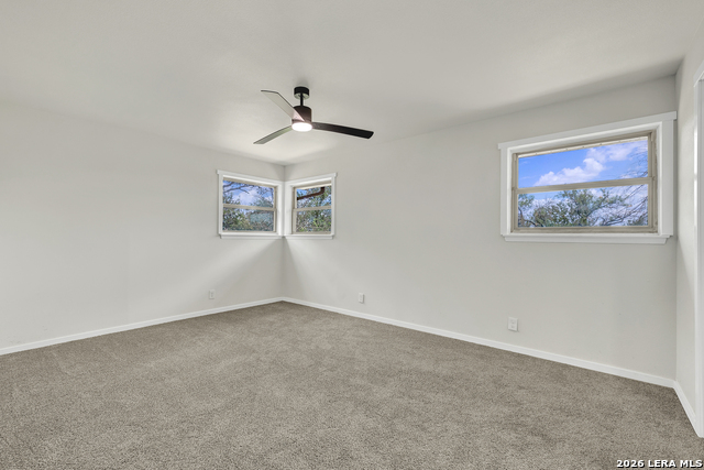 129 Young Property Photo 21