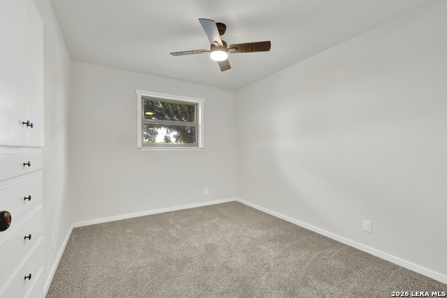 129 Young Property Photo 28