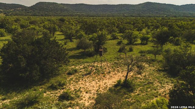 33309 Texas 55 Property Photo 7