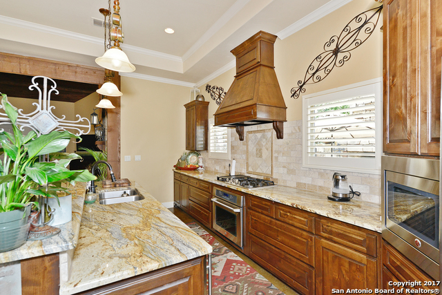 1223 Gruene Valley Cir Property Photo 6