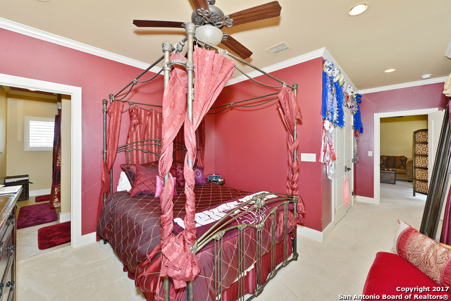 1223 Gruene Valley Cir Property Photo 14
