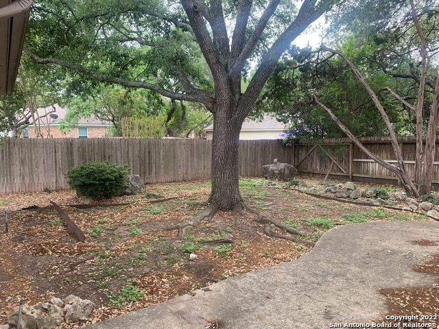 4410 Shavano Cross Property Photo 20