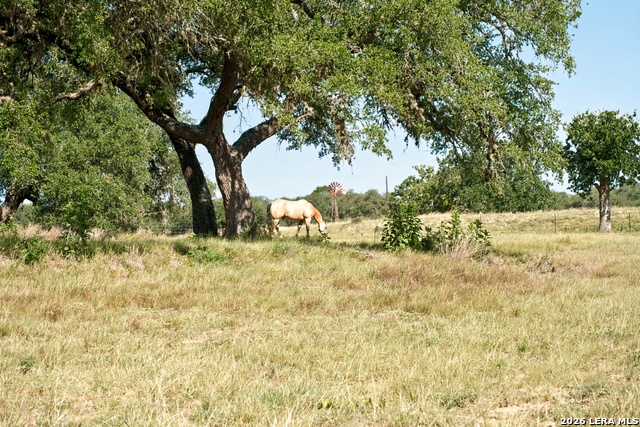 1282 Kendalia Rd Property Photo 37