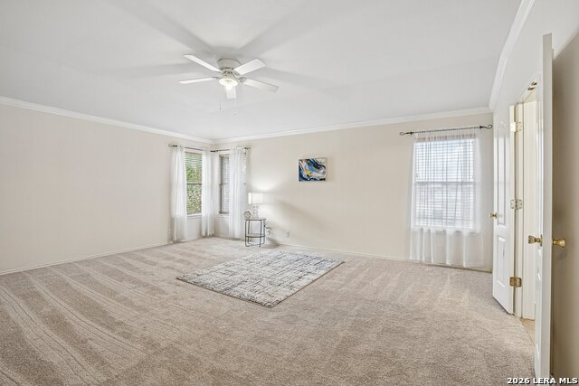 116 Dyess Property Photo 20
