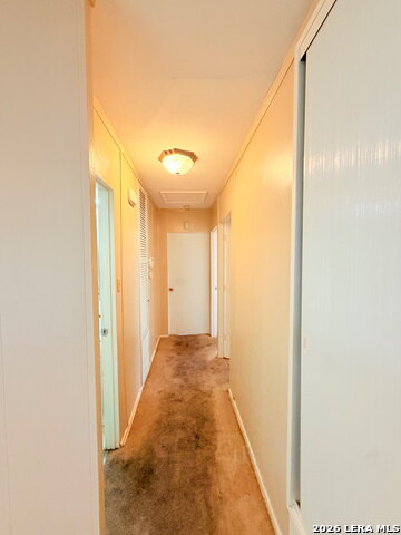 4503 Eisenhauer Property Photo 7