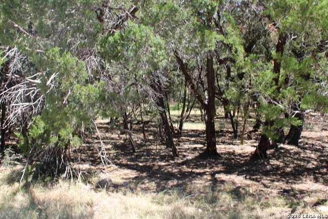 0 Colleen Property Photo 4