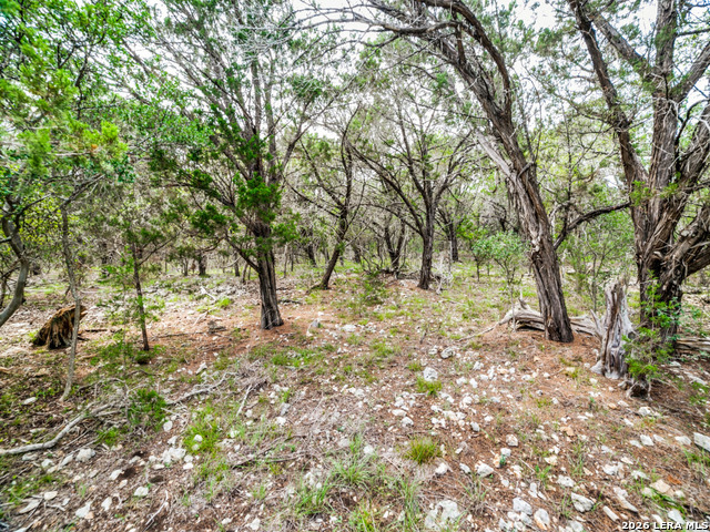 Lot 5 Horseshoe Property Photo 5