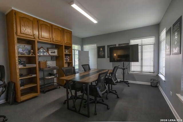 310 Pfeil Property Photo 18