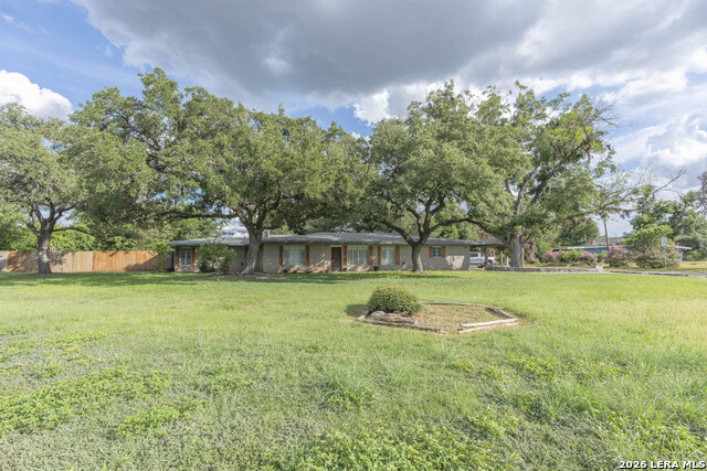 310 Pfeil Property Photo 25