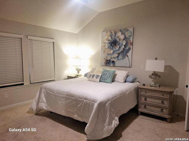 226 Eagleville Dr Property Photo 29