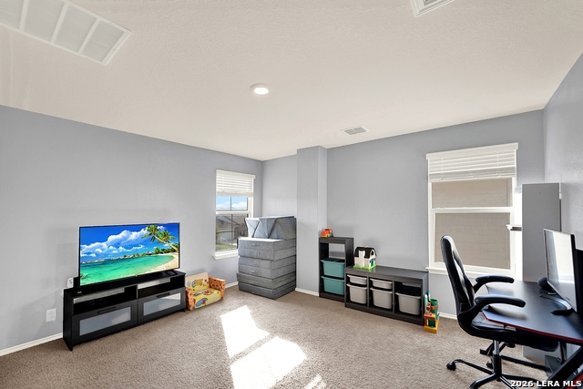 4347 Lake Ritter St Property Photo 23