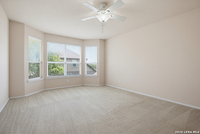 12602 Red Maple Property Photo 21