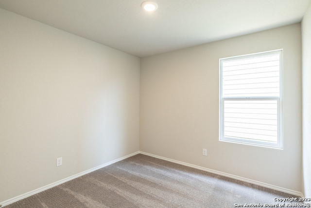 2614 Pechora Pipit Property Photo 16