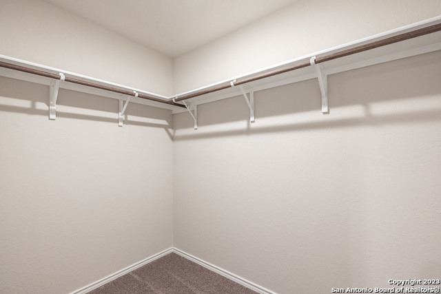 2614 Pechora Pipit Property Photo 21