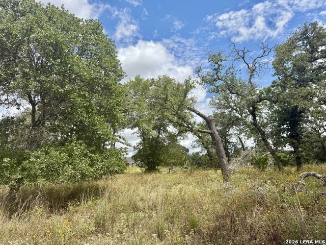 1277 Morning Glory Property Photo 1