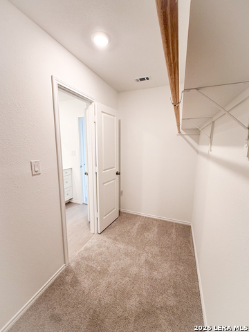 309 Trinity River Holw Property Photo 28