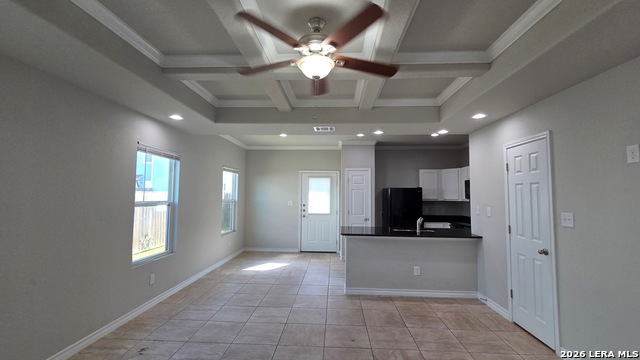 16906 Dancing Ava Property Photo 4