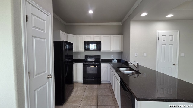 16906 Dancing Ava Property Photo 8