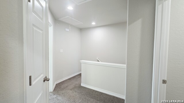 16906 Dancing Ava Property Photo 25