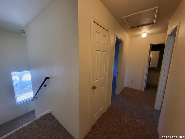 8018 Maverick Climb Property Photo 10