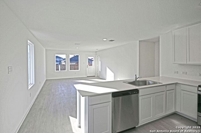 10036 Mather Way Property Photo 6