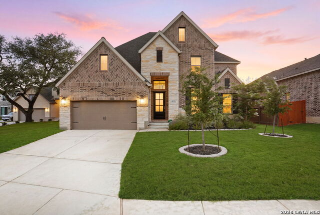 10123 Dapple Colt Property Photo 1