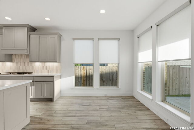 10123 Dapple Colt Property Photo 20