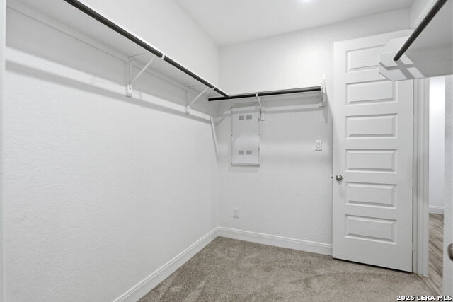 10123 Dapple Colt Property Photo 28