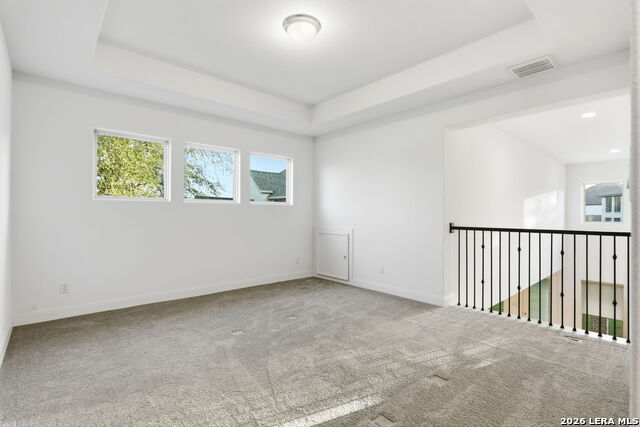 10123 Dapple Colt Property Photo 29
