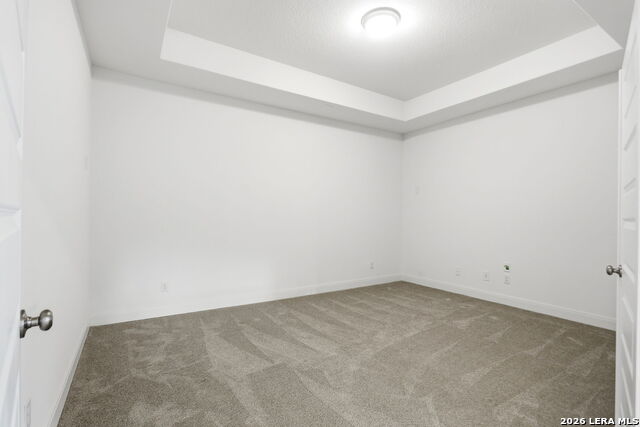 10123 Dapple Colt Property Photo 32