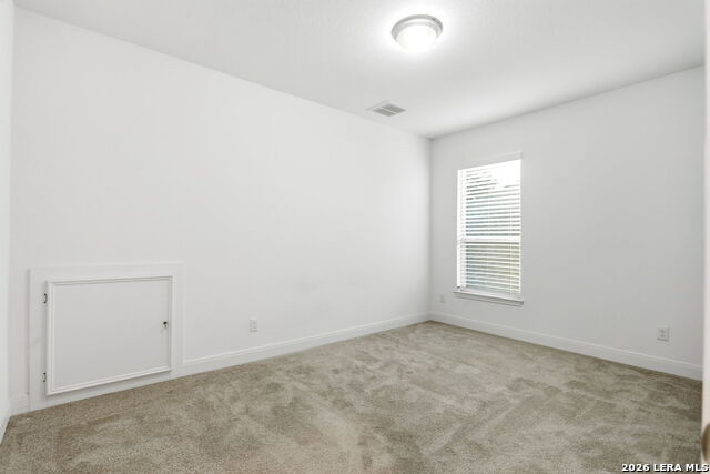 10123 Dapple Colt Property Photo 37
