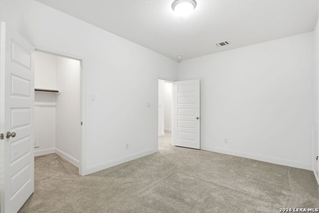 10123 Dapple Colt Property Photo 38