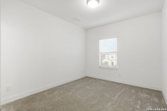 10123 Dapple Colt Property Photo 39