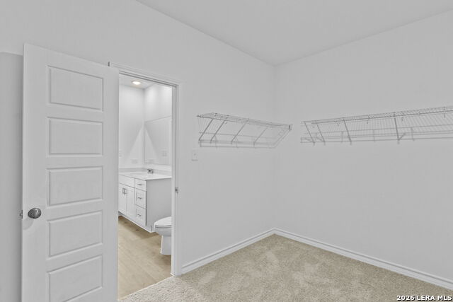 229 Wild Yonder Ln Property Photo 16