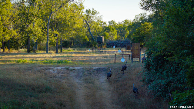 106 County Road 253 Property Photo 42
