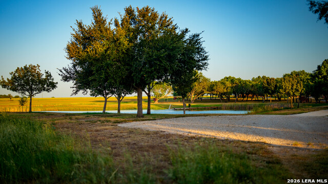 106 County Road 253 Property Photo 47