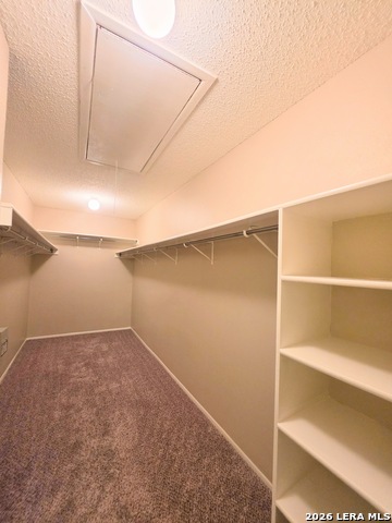 7614 Briston Park Dr Property Photo 29