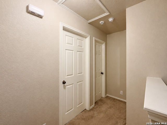5514 Spring Walk Property Photo 21