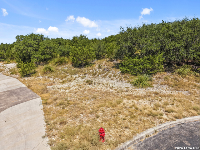 29114 Ledge Dr Property Photo 4