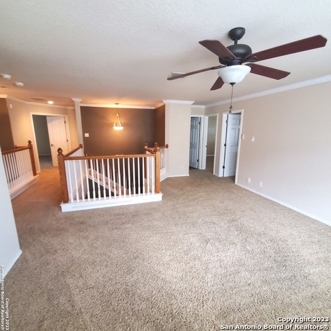 6314 Palmetto Way Property Photo 12
